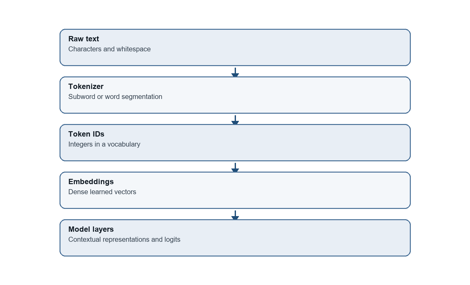 Native computation diagram: Tokenization creates discrete IDs before learned layers replace them with dense, contextual vectors.