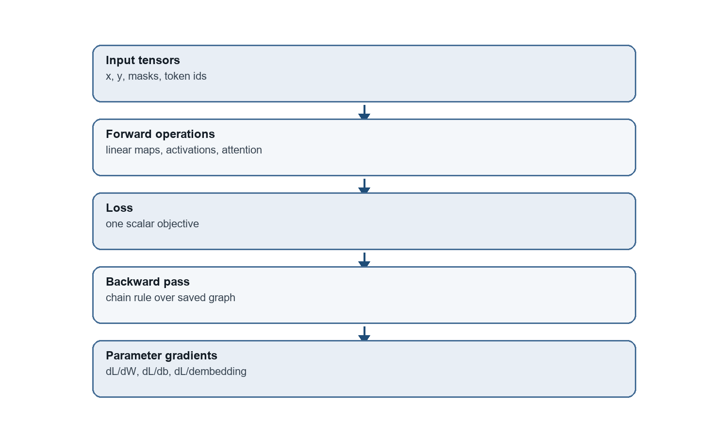 Flow diagram from input tensors through forward operations and scalar loss to backward calculation and parameter gradients. Parameter and separate target inputs are omitted.