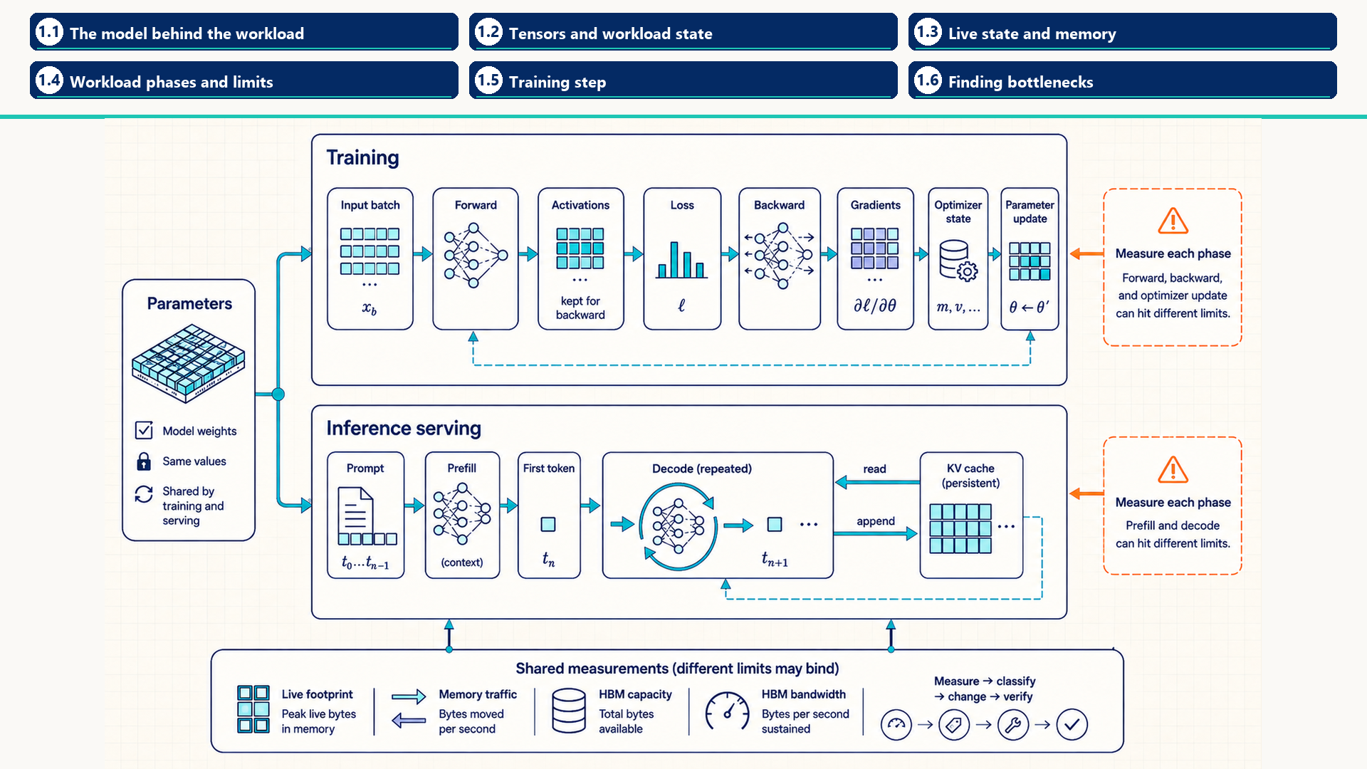 Shared model parameters feed separate training and inference-serving paths. Training retains activations, gradients, and optimizer state; serving retains and updates a KV cache across decode steps; both are measured by phase. Section labels identify chapter 1 section map: 1.1 - The model behind the workload; 1.2 - Tensors and workload state; 1.3 - Live state and memory; 1.4 - Workload phases and limits; 1.5 - Training step; 1.6 - Finding bottlenecks.