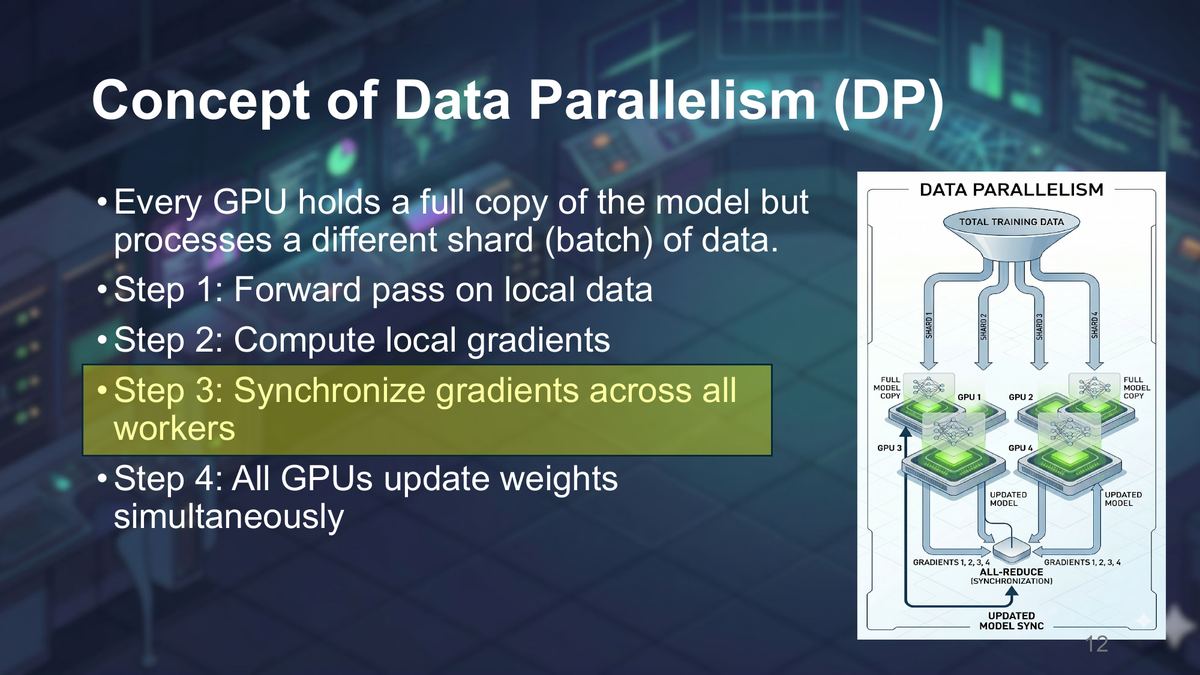 The important DDP state relationship is replication: model state is copied on every rank, while the data stream is partitioned across ranks. Replicas begin from compatible parameters. Backward hooks reduce gradient buckets, and every rank applies an equivalent optimizer update after the required synchronization. Framework policy determines whether the reduced result is represented as a sum or average.
